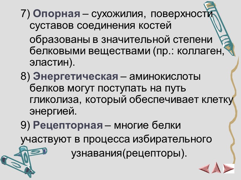 7) Опорная – сухожилия, поверхности суставов соединения костей     образованы в